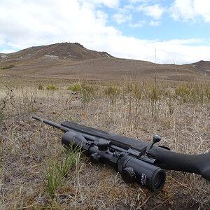 Howa In 308 Rifle