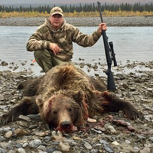 Grizzly Bear Hunt Alaska