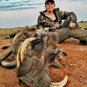 Warthog Hunt