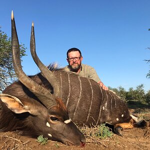 Nyala Hunt South Africa