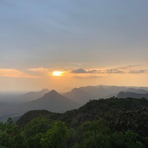 Limpopo Nature South Africa