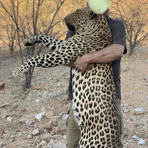 Leopard Hunt Namibia