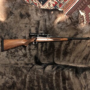 Ruger 458 Lott Rifle