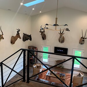 Trophy Room