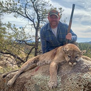 Mountain Lion Hunt Arizona