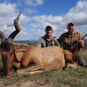 Red Hartebeest Hunt Eastern Cape South Africa