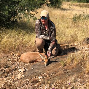 Steenbok Hunt Namibia