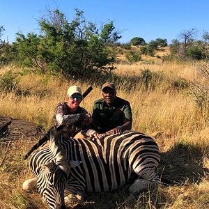 Zebra Hunting Namibia