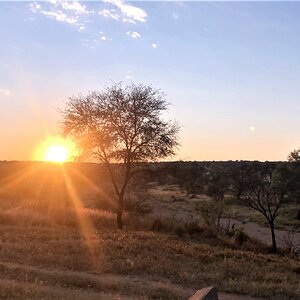 Namibia Nature