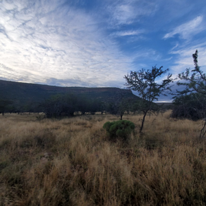 Eastern Cape Nature South Africa