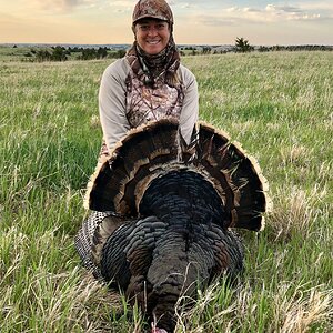 Turkey Hunt Northern Nebraska