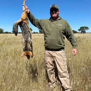 Jackal Hunting Namibia