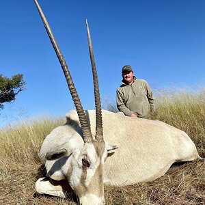 White Gemsbok Hunt Namibia
