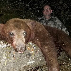 Black Bear Hunting Northern Idaho
