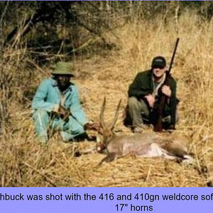 Bushbuck Hunt Zimbabwe