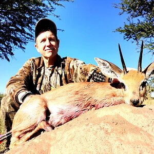 Klipspringer Hunting South Africa