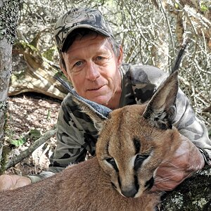 Caracal Hunting Eastern Cape South Africa