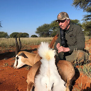 Springbok Hunting South Africa