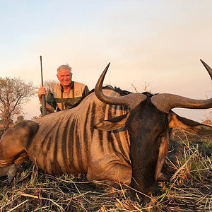 Wildebeest Hunting South Africa