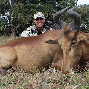 Bow Hunting Tsessebe South Africa