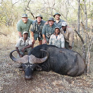 Buffalo Hunt South Africa