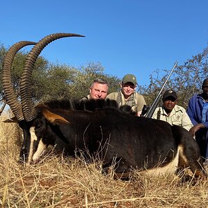 Sable Hunting South Africa