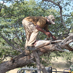 Namibian Nature