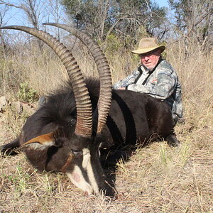 Sable Hunt Waterberg Mountains Limpopo Province Of South Africa