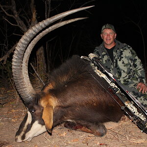 Sable Bow Hunt Waterberg Mountains Limpopo Province Of South Africa
