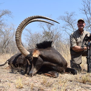 Sable Bow Hunt Waterberg Mountains Limpopo Province Of South Africa