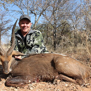 Bushbuck Hunting Waterberg Mountains Limpopo province of South Africa