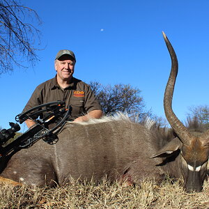 Nyala Bow Hunting Waterberg Mountains Limpopo province of South Africa