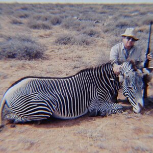Grevy's Zebra Hunt