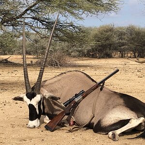 Gemsbok Hunting