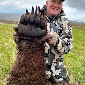 Brown Bear Hunting Alaska