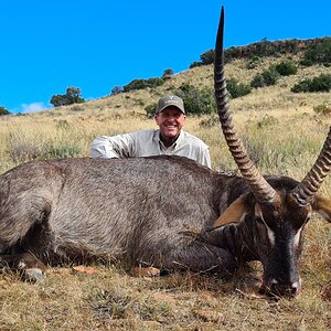 Waterbuck Hunt Karoo South Africa