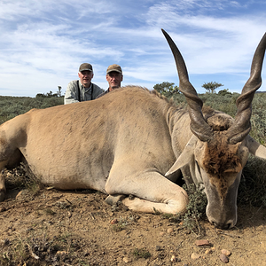 Eland Hunt  Eastern Cape South Africa