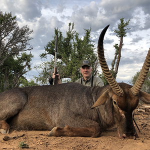 Waterbuck Hunt  Eastern Cape South Africa