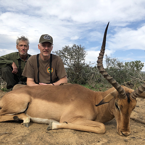 Impala Hunt  Eastern Cape South Africa