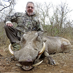 Warthog Hunting