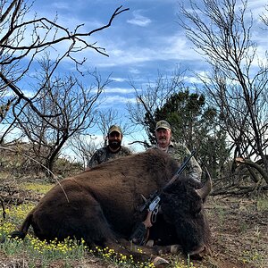 Bison Hunting