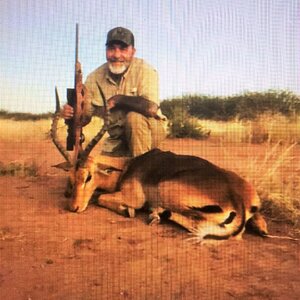 Impala Hunt Namibia