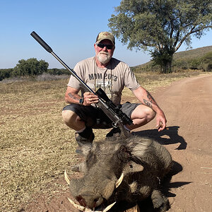 Warthog Hunt South Africa