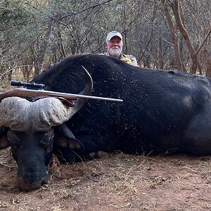 Cape Buffalo Hunting South Africa