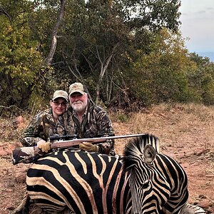 Plains Zebra Hunting South Africa