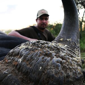 Buffalo Hunt South Africa