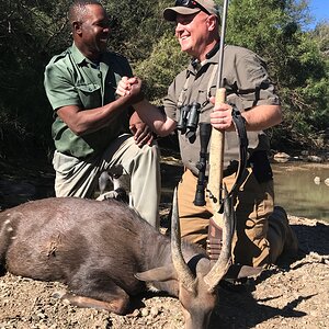 Bushbuck Hunt Eastern Cape South Africa