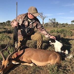 Impala Hunt Eastern Cape South Africa