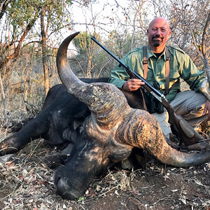 Buffalo Hunting