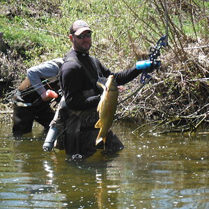 Bowfishing Carp